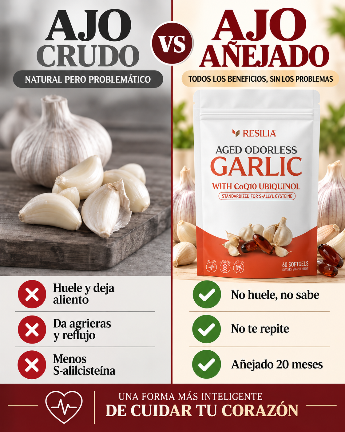 Vital Root™ — Ajo Añejado Sin Olor 20 Meses + CoQ10 Ubiquinol — Apoyo a la Circulación y al Corazón 🧄