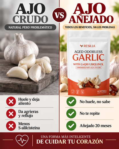 Vital Root™ — Ajo Añejado Sin Olor 20 Meses + CoQ10 Ubiquinol — Apoyo a la Circulación y al Corazón 🧄