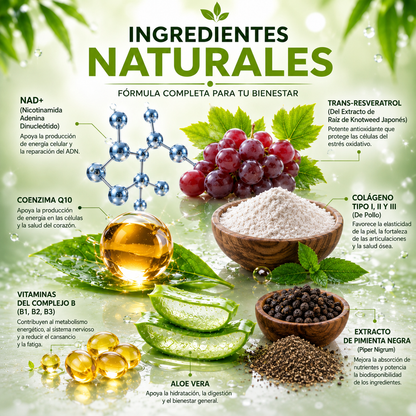 Longevix™ — Fórmula Completa para Vitalidad, Enfoque y Protección Antioxidante