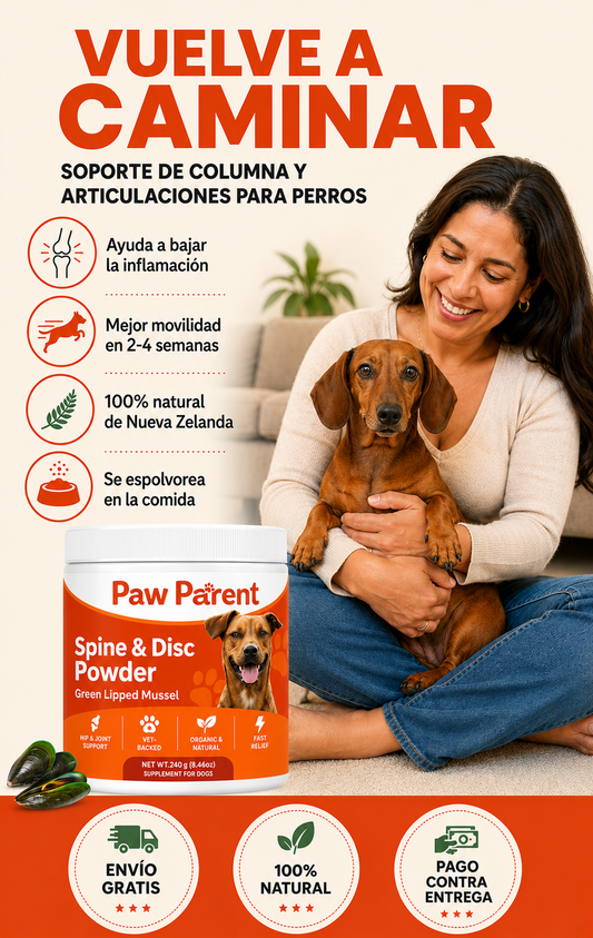 Spine & Disc Powder™ — Soporte de Columna y Articulaciones para Perros — Mejillón Labio Verde de Nueva Zelanda 🐾