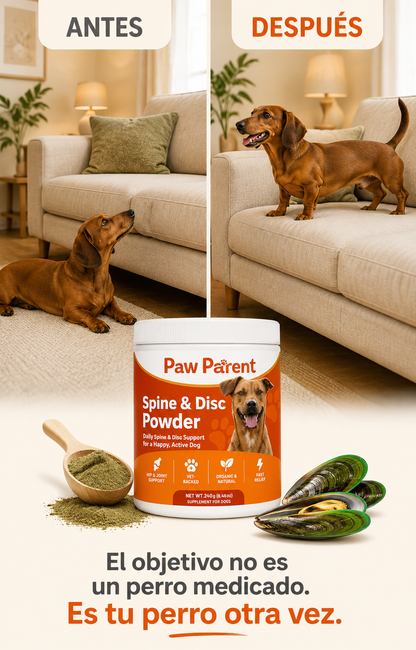Spine & Disc Powder™ — Soporte de Columna y Articulaciones para Perros — Mejillón Labio Verde de Nueva Zelanda 🐾