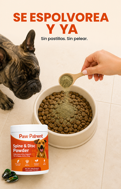 Spine & Disc Powder™ — Soporte de Columna y Articulaciones para Perros — Mejillón Labio Verde de Nueva Zelanda 🐾
